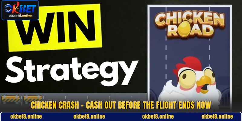 Chicken Crash - Cash Out Before The Flight Ends Now