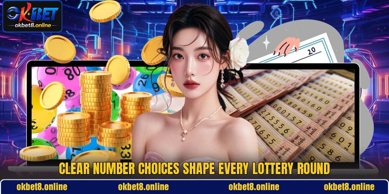 Clear number choices shape every lottery round