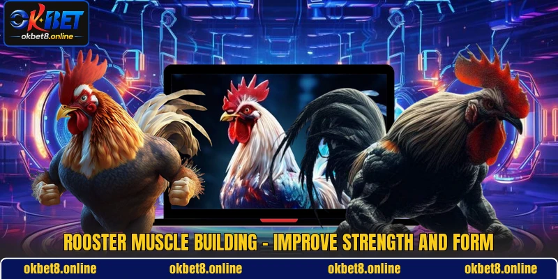 Rooster Muscle Building - Improve Strength And Form